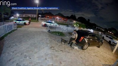 Surveillance video shows police officer shooting dead pet dog over barking complaint in Miami