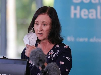 Qld health minister blasts PM over RAT ad