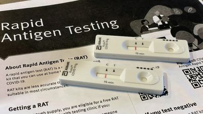 Pharmacy Guild to launch website to find rapid antigen tests after 'market failure'