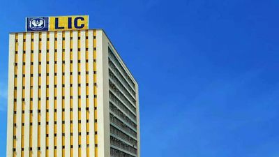 Why LIC’s big share sale is a big deal