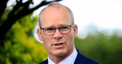 Simon Coveney to be questioned by Oireachtas committee over infamous champagne party
