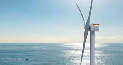 EDF, Equinor and Red Rock among the big names with failed ScotWind leasing bids
