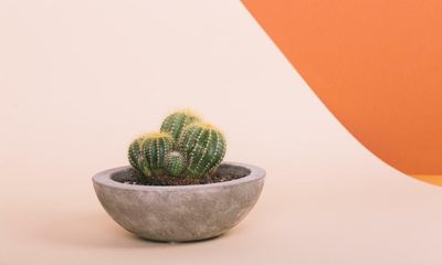 From flexible working to voice notes: 11 things in our lives that are ‘normal’ for 2022