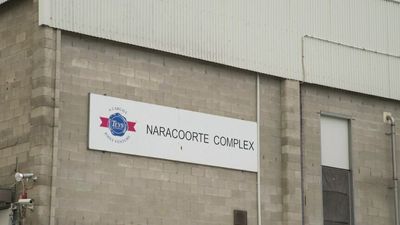 Woolworths to resume processing meat at Teys Australia's Naracoorte abattoir