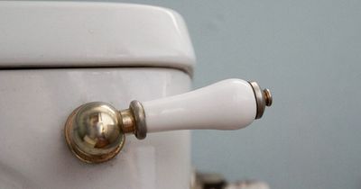 Couple wins 20-year court fight over neighbour's 'extremely loud' toilet flush