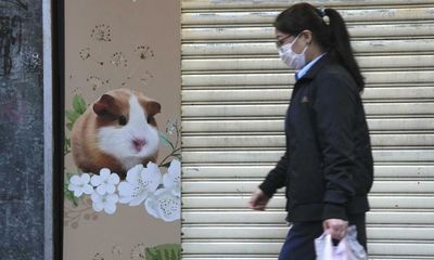 Hong Kong to kill thousands of hamsters after Covid found on 11
