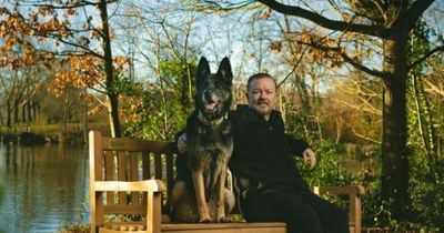 Where are After Life benches? 'Hope is Everything' benches placed in 25 different locations