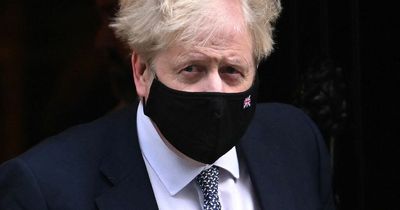 Boris Johnson denies lying about Downing Street garden party in lockdown