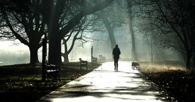 CCTV cameras and lights set for Cardiff’s parks in bid to improve safety