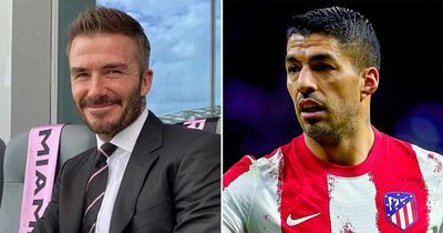 David Beckham makes space to complete Luis Suarez transfer for Inter Miami