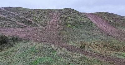 One of the UK's most important wildlife reservation sites ‘devastated’ by motorbikes