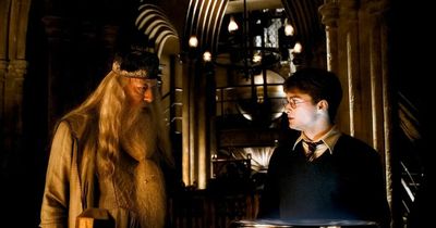 Harry Potter 'plot hole' has fans convinced Dumbledore is the real villain