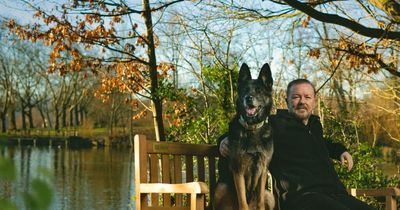 After Life: Netflix donates bench to Bristol park as third series airs