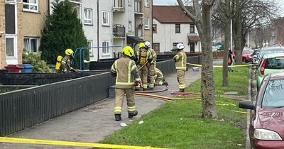 Cat and dog die in 'tragic' Grangemouth flat blaze