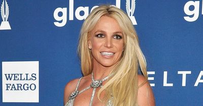 Inside the toxic world of Britney Spears' family from freeze outs to fall outs