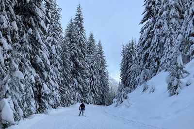 Climate change makes the future of Nordic skiing uncertain