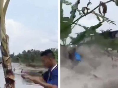 No, an influencer didn’t didn’t start punching a tree during the Tonga tsunami