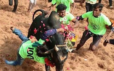 Spectator gored to death in jallikattu near Tiruchi