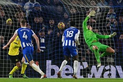 Brighton 1-1 Chelsea: Webster header no less than Seagulls deserve after limp display from Blues