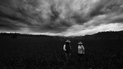 'The circle': A short story by Dakota Tait