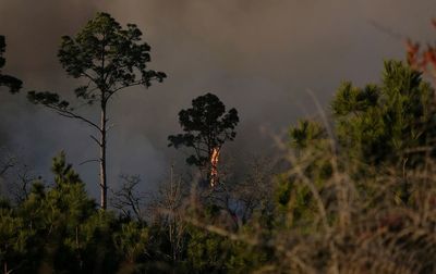 Texas wildfire forces evacuations; planned burn may be cause