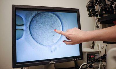 ‘IVF is not a choice’: Victoria’s elective surgery restrictions cause heartache for patients