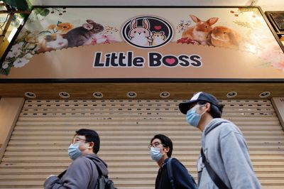 Hong Kong's COVID-19 hamster cull sparks fear of owners abandoning pets