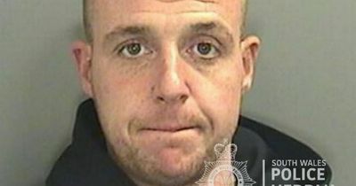 Sex offender travelled from Greater Manchester to Cardiff to abuse young girl - then claimed he was a 'paedophile hunter' when caught