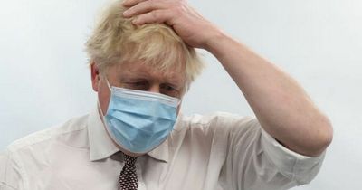 Claim 20 MPs could submit letters of no confidence in Boris today