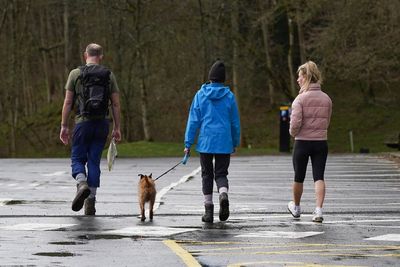 Pet owners in Yorkshire claim dogs are coming down with mystery illness