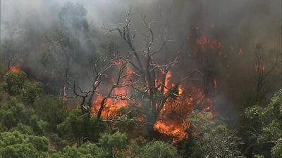 Perth heatwave declared as firefighters contain blaze burning near Karrakatta cemetery on 42-degree day
