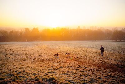 UK weather: Met Office issues cold weather alert due to arctic chill