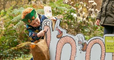 Superworm trail coming to Delamere Forest in time for February half term