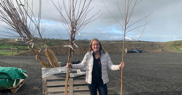 MP claimed more than £2,500 to help pay for electricity and heating