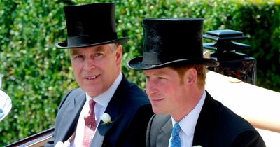 Queen could strip Prince Andrew and Harry of elite job only held by four royals