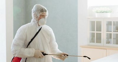 Dublin people warned to beware of 'wingless bloodsucking insects' as infestations rise