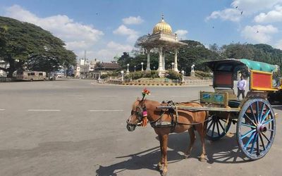 Opposition to night curfew grows in Mysuru amidst rise in COVID-19 cases