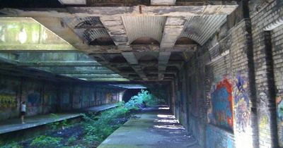 Call to reopen Glasgow Botanic Gardens station as tourist attraction post-Batgirl filming