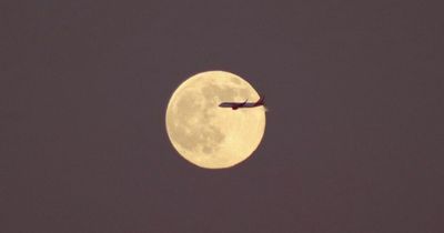 Edinburgh local captures stunning Wolf Moon photo on first full moon of the year