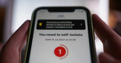 Covid isolation rules will be dropped by March as people who test positive won't have to stay home