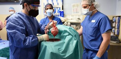 Pig's heart transplant: was David Bennett the right person to receive groundbreaking surgery?