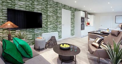 Five-star home that offers 'escape to Africa' set to launch in Ayrshire countryside