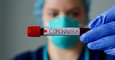 Scottish Government announces 29 deaths and 8,495 covid cases in last 24 hours