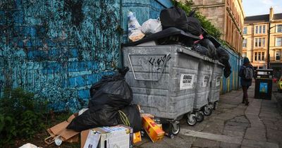 Glasgow risks public health disaster as rats and foxes 'run riot' in West End