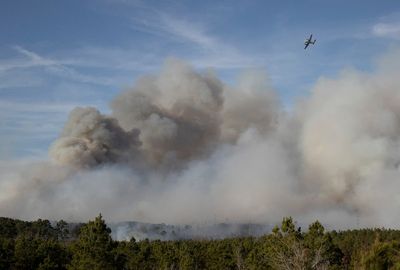 Texas wildfire no longer growing, some evacuations lifted