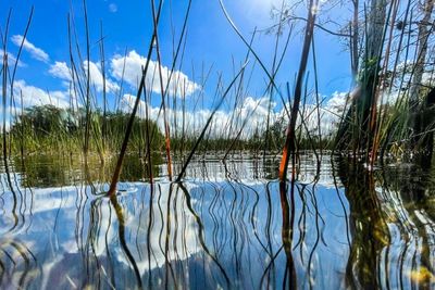 US announces historic $1.1 bn investment for Everglades rehabilitation