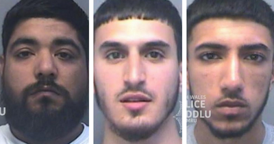 Cocaine dealers caught in hire car thanks to eagle-eyed PCSO who 'smelled a rat'