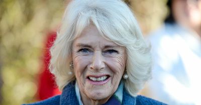 Camilla could 'step up' to help Queen - carving new role for Kate in Royal Family