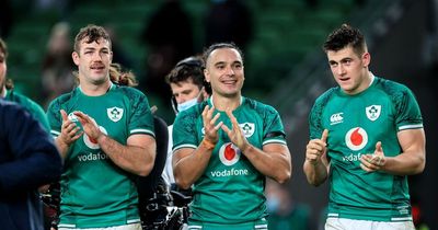 Ross Byrne and James Lowe omitted from Six Nations squad as Carbery passed fit