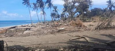 First relief flight lands in tsunami-hit Tonga, more on way